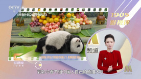 偷偷在线观看免费高清电视剧实在太